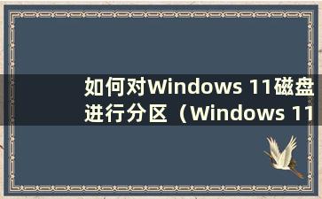 如何对Windows 11磁盘进行分区（Windows 11硬盘使用什么格式进行分区）